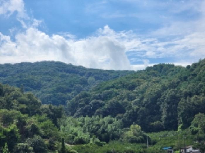 광양시 중군동 산139-3 임야 경매 물건 사진