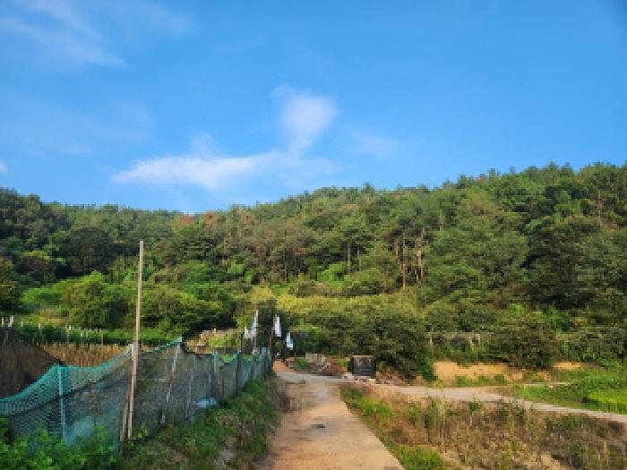 순천시 해룡면 선월리 임야 경매 물건 사진