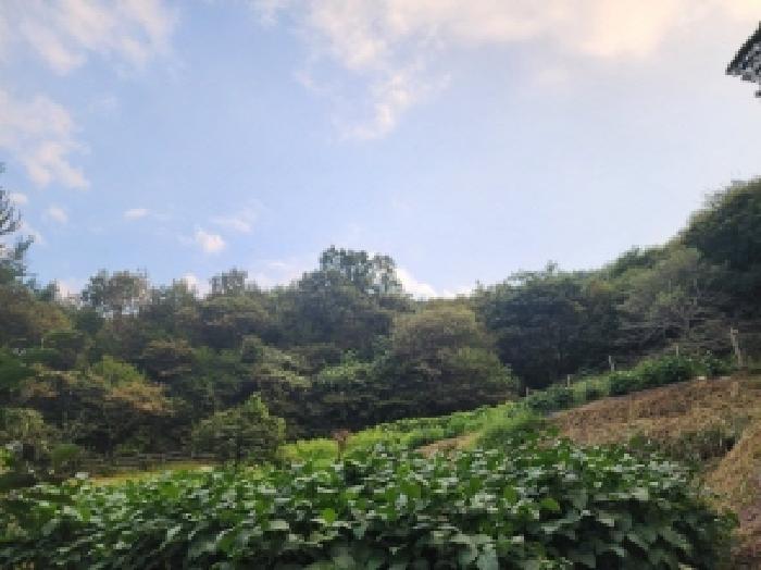 순천시 외서면 월암리 임야 경매 물건 사진