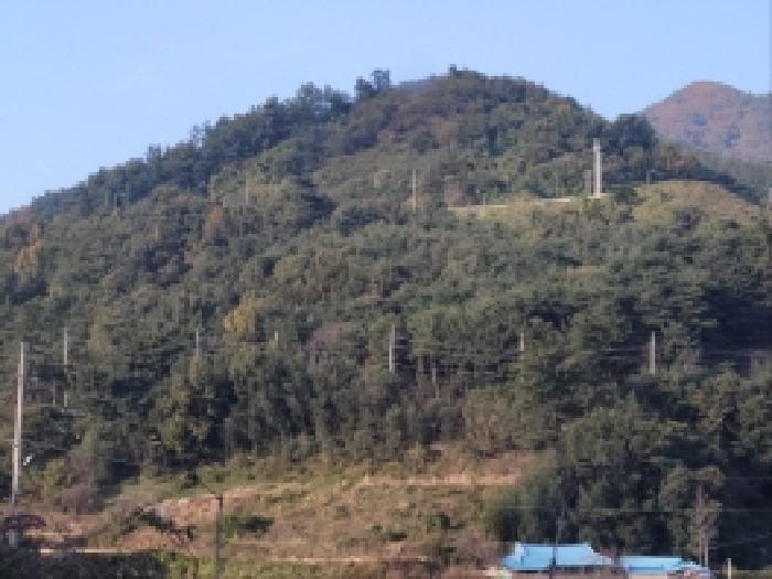 보성군 벌교읍 추동리 임야 경매 물건 사진