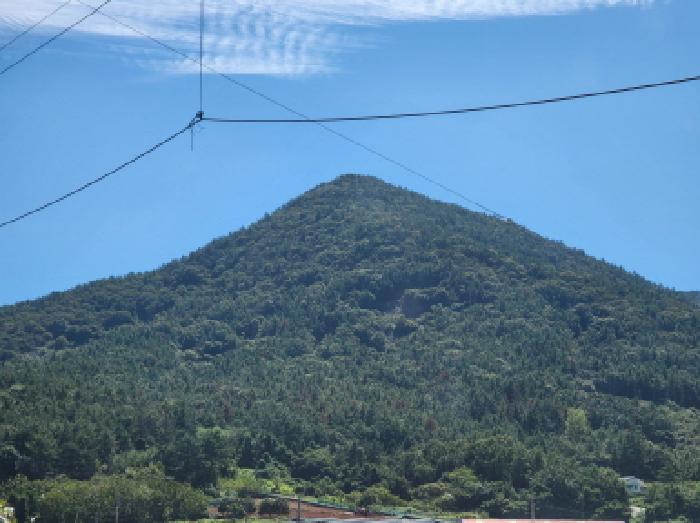 여수시 돌산읍 평사리 임야 경매 물건 사진