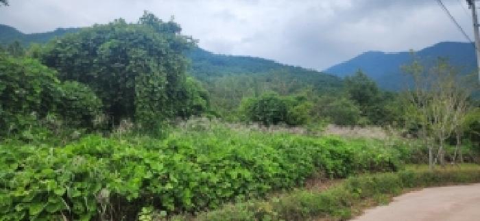 구례군 마산면 황전리 대지 경매 물건 사진