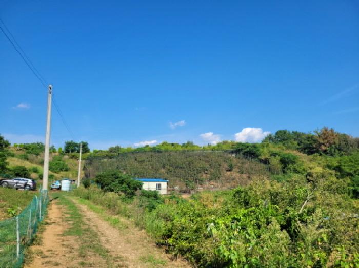 여수시 소라면 복산리 전 경매 물건 사진