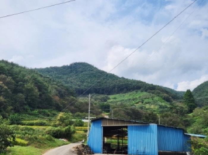 순천시 황전면 죽내리 임야 경매 물건 사진
