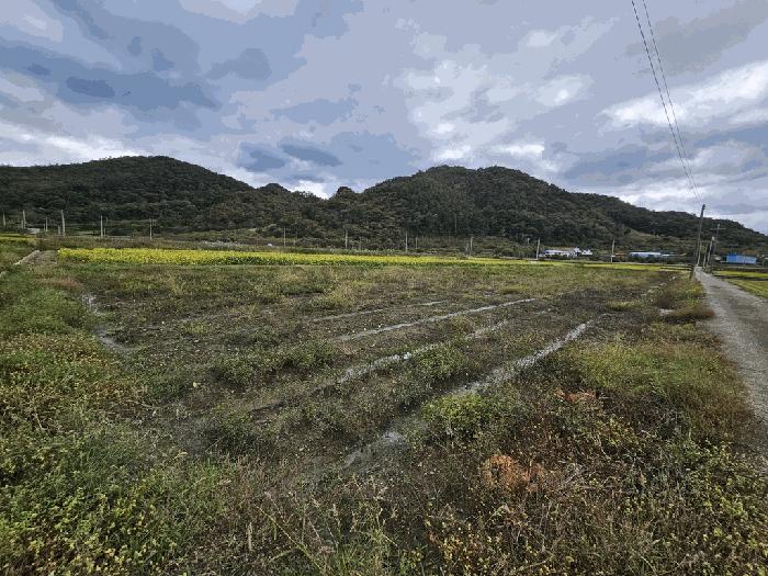 순천시 황전면 황학리 답 경매 물건 사진