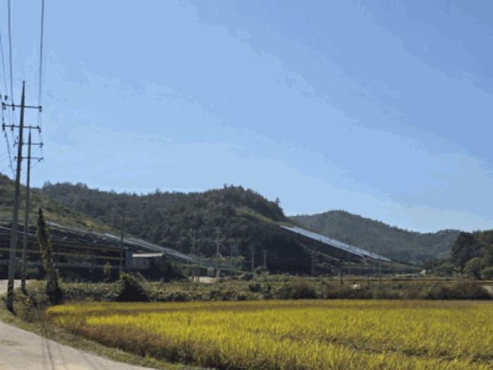 보성군 노동면 대련리 임야 경매 물건 사진
