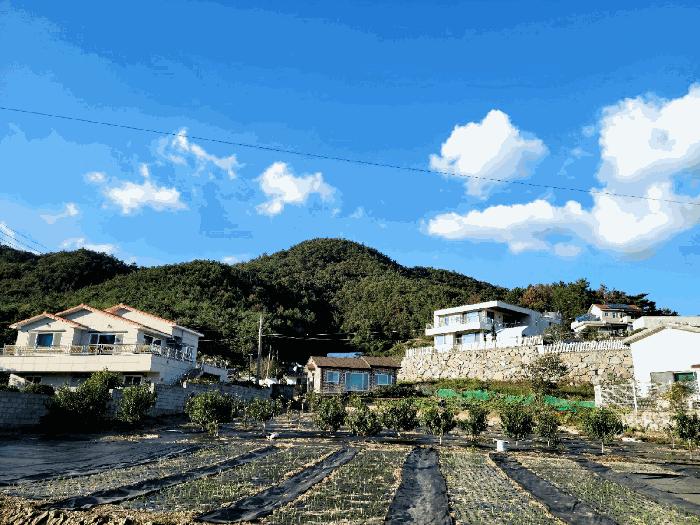 여수시 화양면 나진리 임야 경매 물건 사진