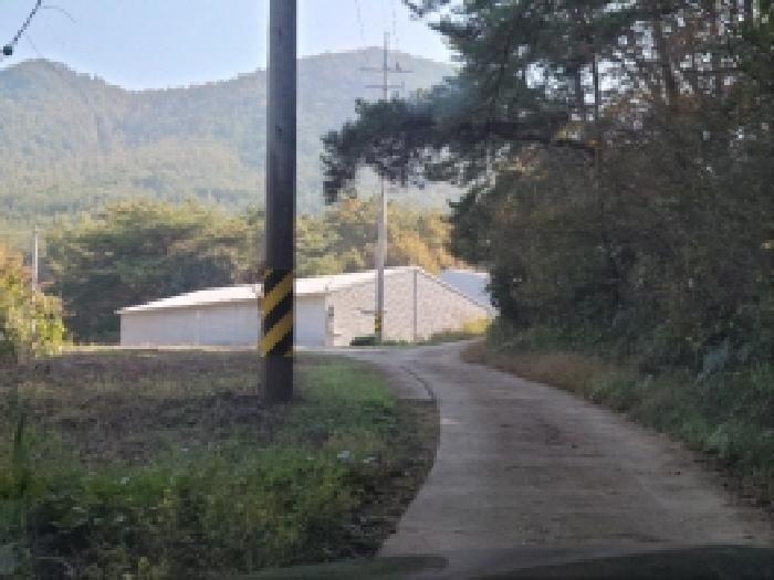 고흥군 점암면 신안리 창고시설 경매 물건 사진