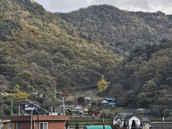 순천시 서면 학구리 임야 경매 물건 사진