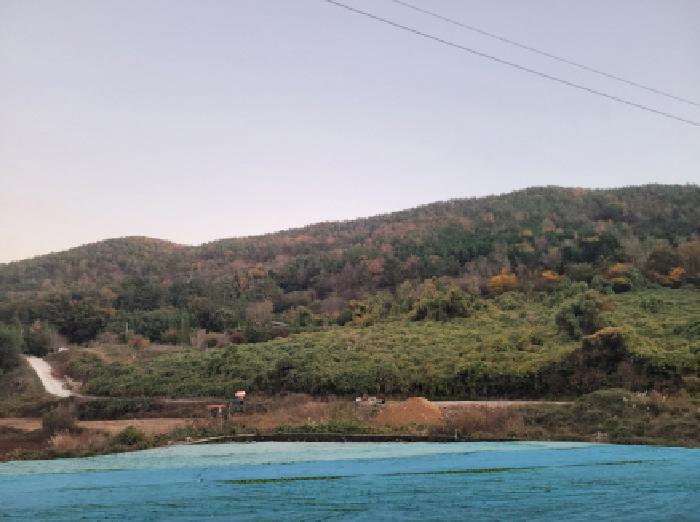 여수시 돌산읍 둔전리 임야 경매 물건 사진