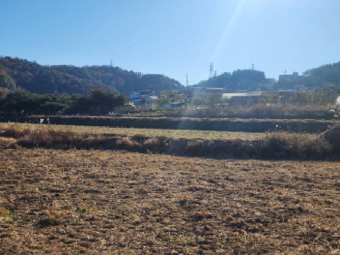 여수시 소라면 덕양리 전 경매 물건 사진