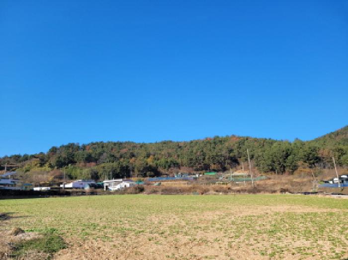 여수시 돌산읍 평사리 임야 경매 물건 사진