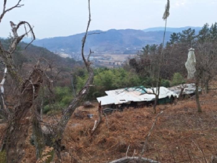 순천시 상사면 흘산리 대지,임야,전답 경매 물건 사진
