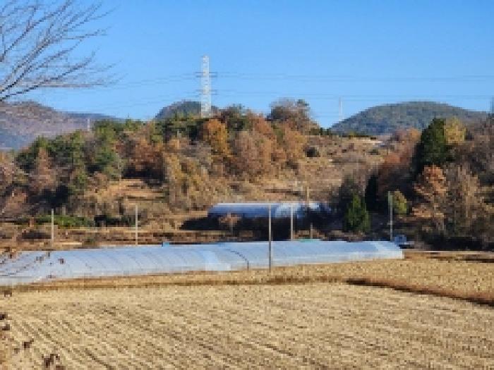 여수시 소라면 봉두리 답 경매 물건 사진