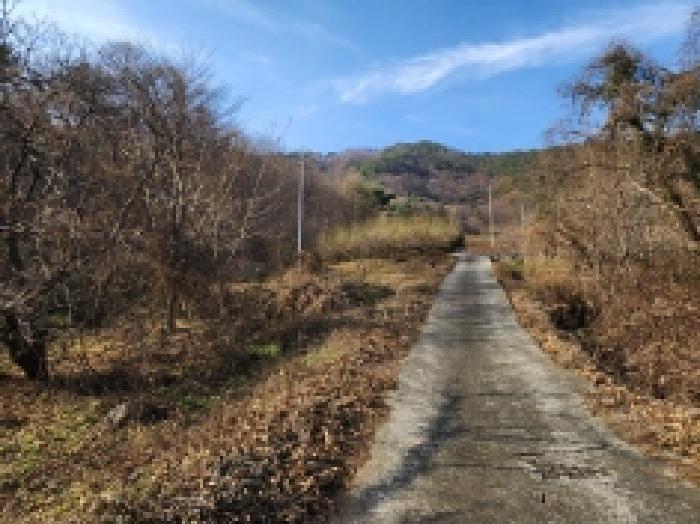 광양시 옥룡면 추산리 답 경매 물건 사진