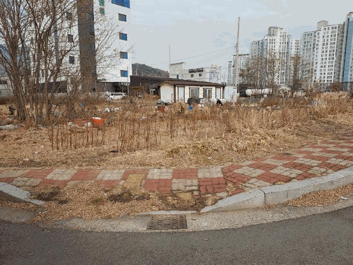 광양시 마동 1174-5 대지 경매 물건 사진