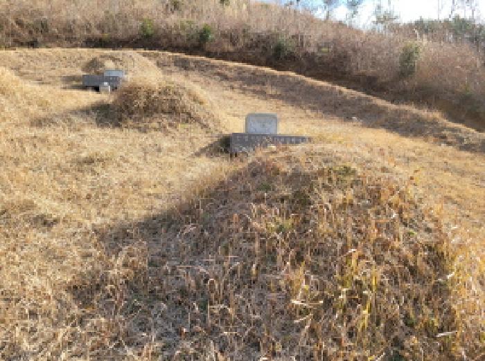 고흥군 포두면 남성리 임야 경매 물건 사진