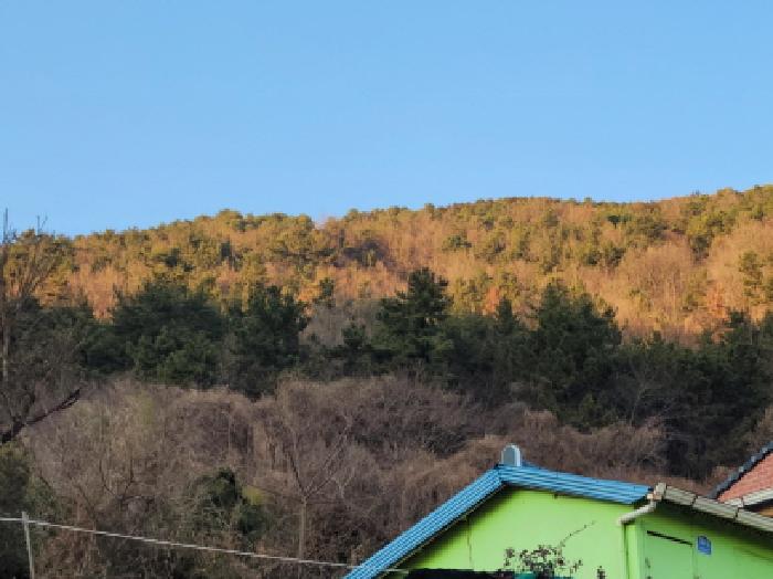여수시 광무동 산54-1 임야 경매 물건 사진