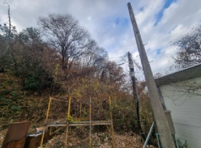 광양시 옥곡면 신금리 임야 경매 물건 사진