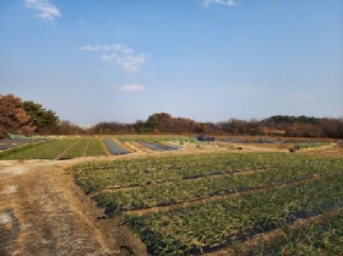 광양시 황길동 616-4 전답 경매 물건 사진