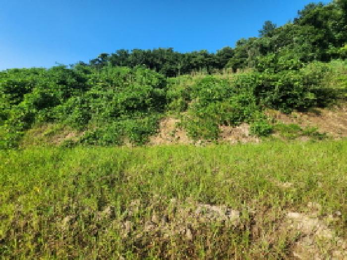 순천시 해룡면 용전리 전 경매 물건 사진