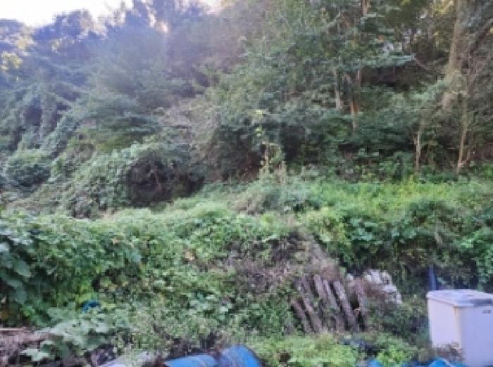 구례군 간전면 양천리 전 경매 물건 사진