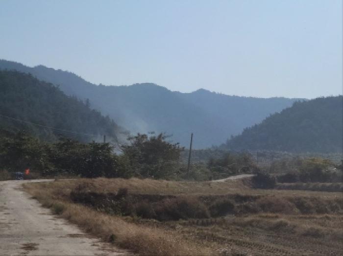 고흥군 점암면 연봉리 임야 경매 물건 사진