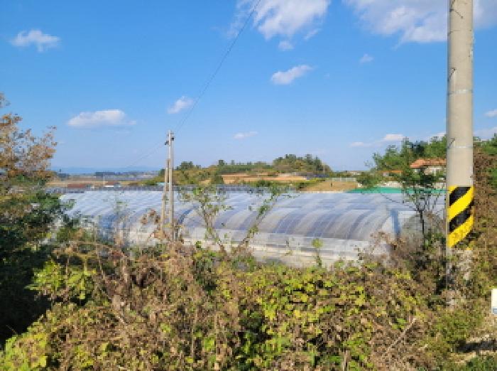 고흥군 도덕면 신양리 전 경매 물건 사진