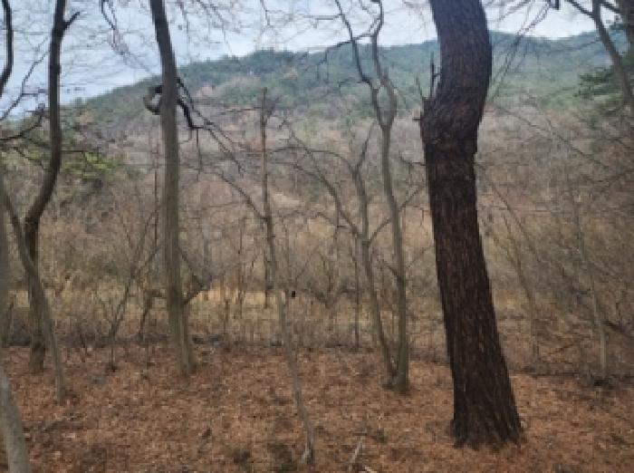구례군 산동면 탑정리 답 경매 물건 사진