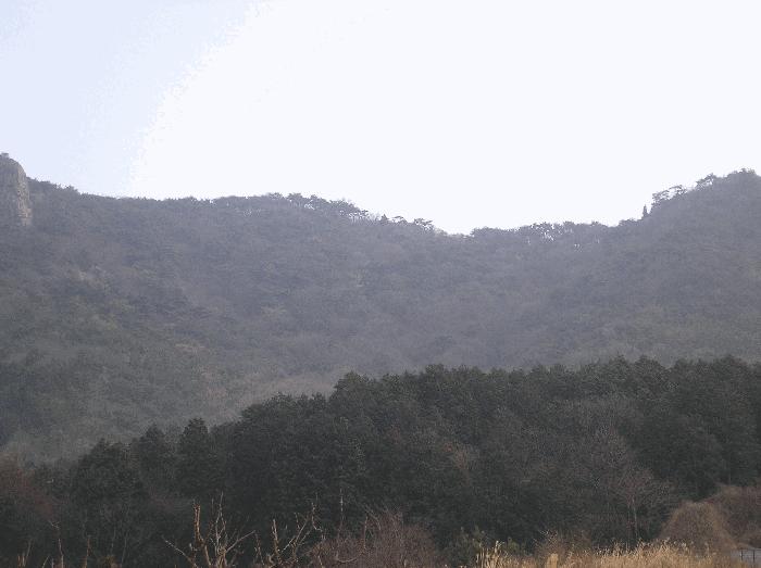 여수시 삼산면 동도리 전 경매 물건 사진