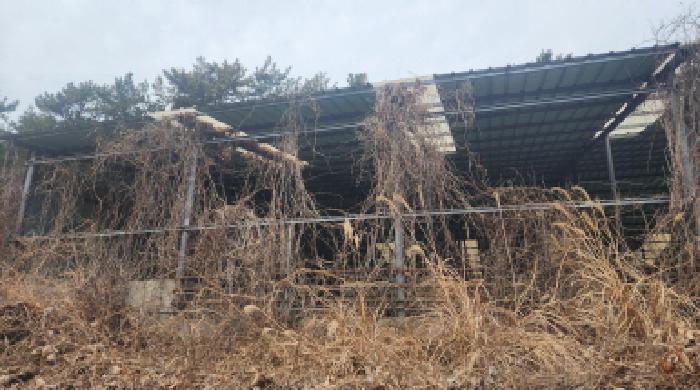 고흥군 풍양면 송정리 동물및식물관련시설 경매 물건 사진
