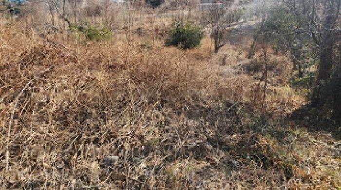 고흥군 봉래면 예내리 전답 경매 물건 사진