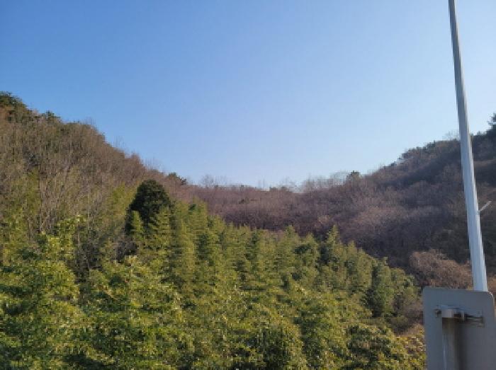 광양시 황금동 산200 임야 경매 물건 사진