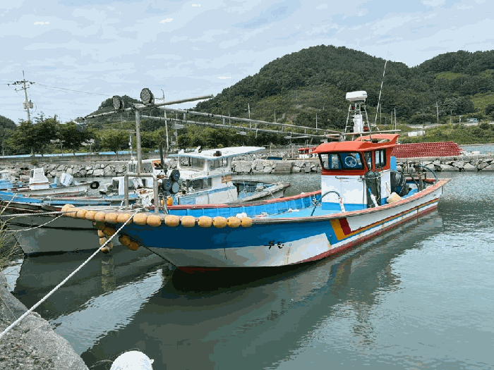 보성군 회천면 선박 경매 물건 사진