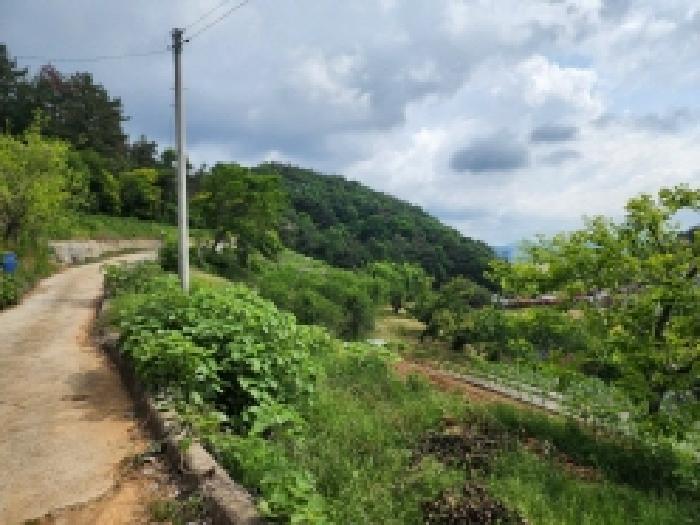 여수시 화양면 창무리 전답 경매 물건 사진