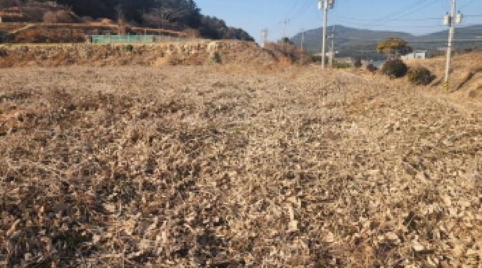 고흥군 봉래면 신금리 전 경매 물건 사진