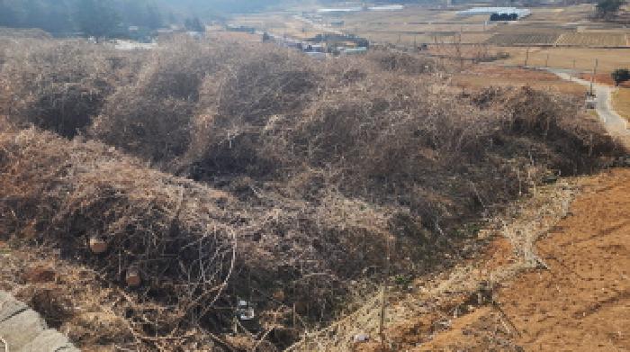 고흥군 도화면 봉룡리 답 경매 물건 사진