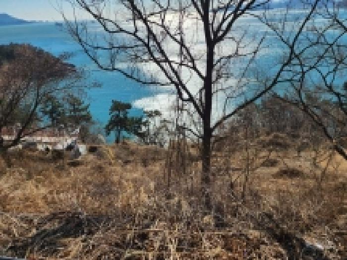 여수시 오천동 산14 임야 경매 물건 사진
