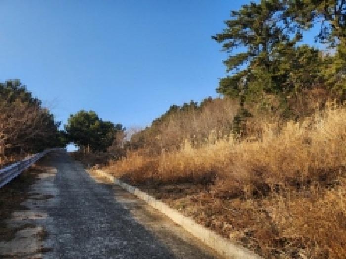 여수시 돌산읍 군내리 전 경매 물건 사진