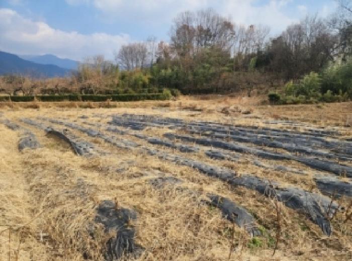 구례군 광의면 대전리 전 경매 물건 사진