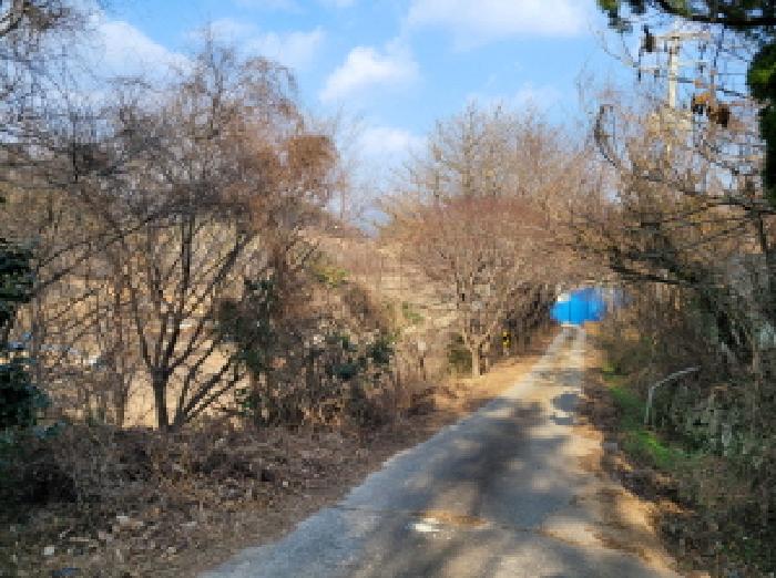 여수시 소라면 봉두리 도로 경매 물건 사진