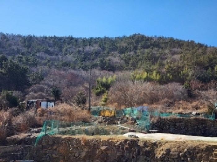여수시 돌산읍 우두리 답 경매 물건 사진