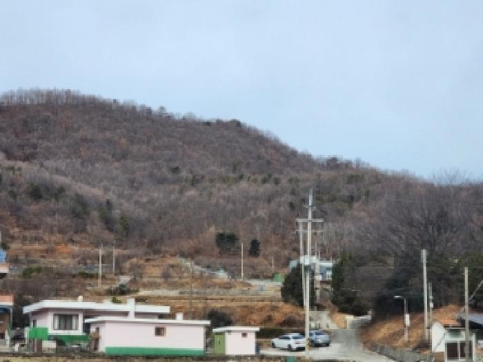 여수시 묘도동 산84-7 임야 경매 물건 사진