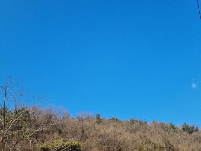 순천시 상사면 쌍지리 임야 경매 물건 사진