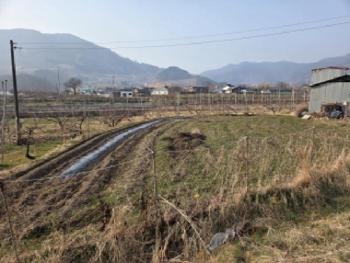 순천시 월등면 신월리 전답 경매 물건 사진