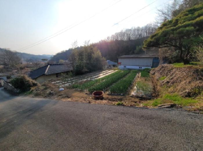 보성군 겸백면 수남리 대지 경매 물건 사진
