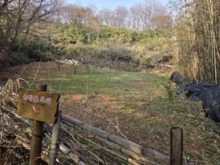 순천시 대룡동 349 전답 경매 물건 사진