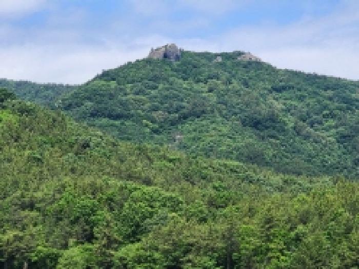 보성군 득량면 도촌리 임야 경매 물건 사진