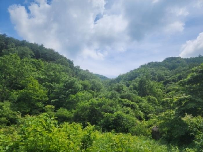 구례군 토지면 내동리 전답 경매 물건 사진