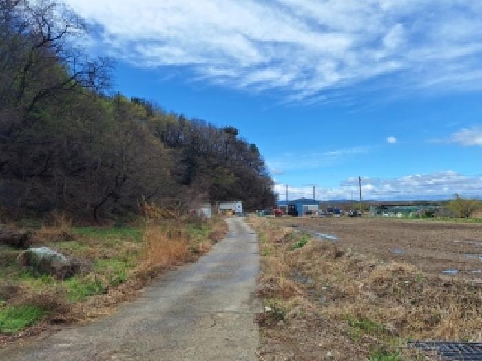 여수시 묘도동 산284-5 임야 경매 물건 사진